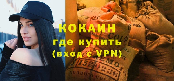 твердый Арсеньев